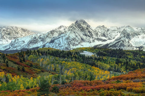 Autumn Prelude At Mount Sneffels Black Modern Wood Framed Art Print by Sherrell, Bill