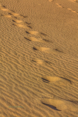 Footprints In The Sand Black Modern Wood Framed Art Print by Sherrell, Bill