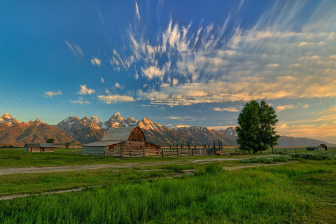 Golden Teton Morning White Modern Wood Framed Art Print with Double Matting by Sherrell, Bill