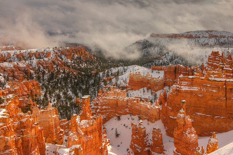 Hoodoos And Lightplay Black Ornate Wood Framed Art Print with Double Matting by Sherrell, Bill