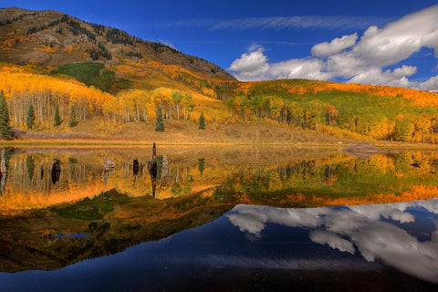 Reflecting On Autumn Black Ornate Wood Framed Art Print with Double Matting by Sherrell, Bill