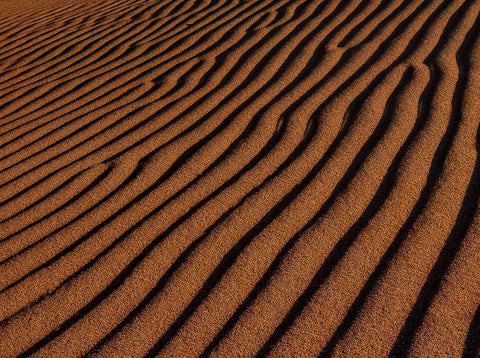 Sand Ripples White Modern Wood Framed Art Print with Double Matting by Sherrell, Bill