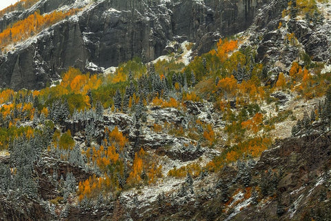 Sheer Cliffs And Dazzling Color White Modern Wood Framed Art Print with Double Matting by Sherrell, Bill