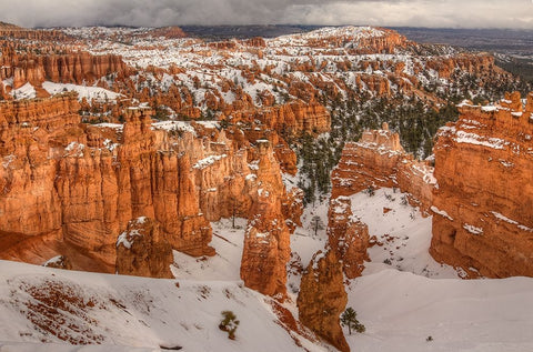 Storm Brewing Over Bryce Canyon Black Modern Wood Framed Art Print by Sherrell, Bill