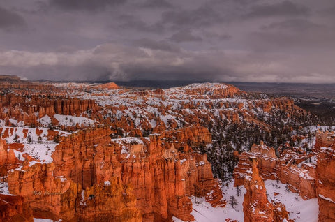 Storm Over Bryce Canyon Black Ornate Wood Framed Art Print with Double Matting by Sherrell, Bill