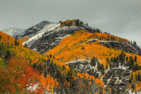 White Lace And Autumn Ridges White Modern Wood Framed Art Print with Double Matting by Sherrell, Bill