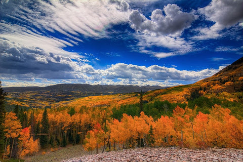 Aspen Wildfire At Ohio Pass White Modern Wood Framed Art Print with Double Matting by Sherrell, Bill