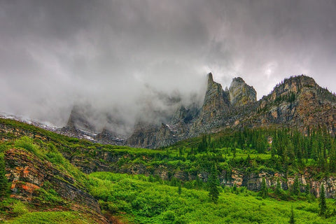 The Unveling Of Majesty White Modern Wood Framed Art Print with Double Matting by Sherrell, Bill