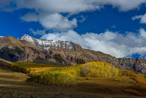 A Colorado Autumn Black Ornate Wood Framed Art Print with Double Matting by Sherrell, Bill