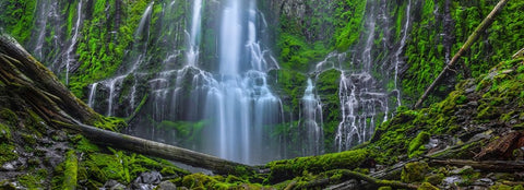 An Encounter With Paradise-Pano Black Ornate Wood Framed Art Print with Double Matting by Sherrell, Bill