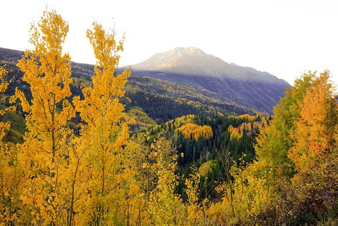 Autumn Meets Morning Mountain Sunshine Black Modern Wood Framed Art Print by Sherrell, Bill