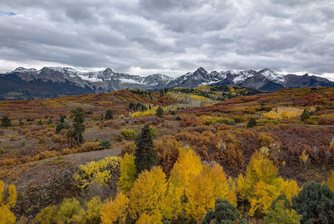 Autumn Storm Over Dallas Divide 1 White Modern Wood Framed Art Print with Double Matting by Sherrell, Bill