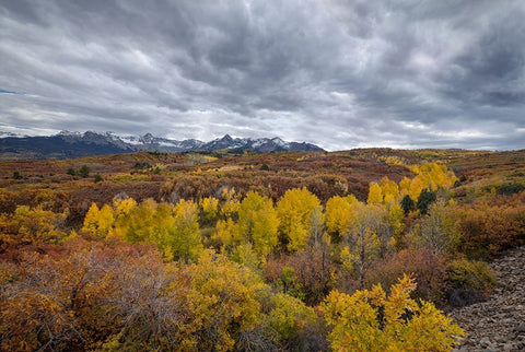 Autumn Storm Over Dallas Divide 2 Black Modern Wood Framed Art Print by Sherrell, Bill