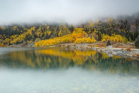 Dreamy Autumn Reflection White Modern Wood Framed Art Print with Double Matting by Sherrell, Bill