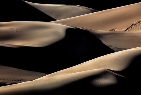 Dune Patterns 1 Black Ornate Wood Framed Art Print with Double Matting by Sherrell, Bill