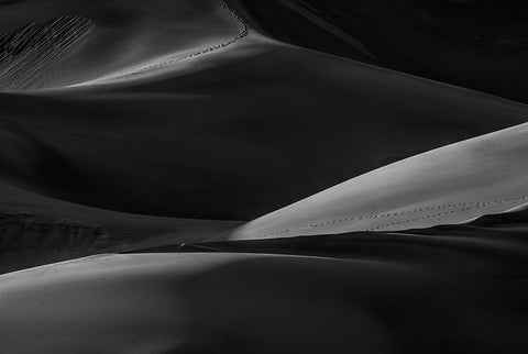 Dune Walk White Modern Wood Framed Art Print with Double Matting by Sherrell, Bill
