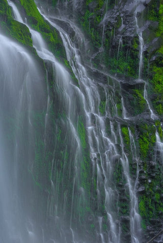 Flowing Grace Black Modern Wood Framed Art Print by Sherrell, Bill