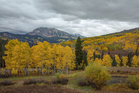 In Love With Fall Again White Modern Wood Framed Art Print with Double Matting by Sherrell, Bill