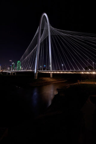 Margaret Hunt Hill Bridge and Dallas Skyline Black Ornate Wood Framed Art Print with Double Matting by Sherrell, Bill
