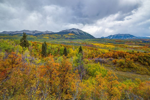 Mountains Of Aspens White Modern Wood Framed Art Print with Double Matting by Sherrell, Bill