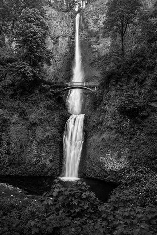 Multnomah Falls 1 Black Modern Wood Framed Art Print by Sherrell, Bill