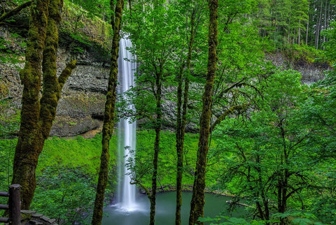 Silver Falls-Oregon 2 White Modern Wood Framed Art Print with Double Matting by Sherrell, Bill