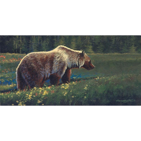 Grizzly Black Modern Wood Framed Art Print with Double Matting by Langton, Bruce