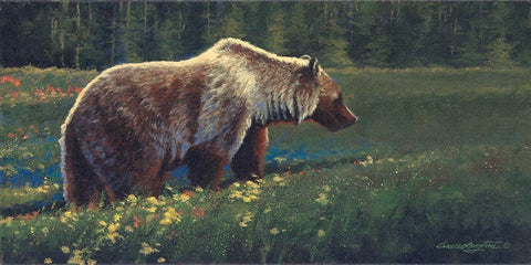 Grizzly White Modern Wood Framed Art Print with Double Matting by Langton, Bruce