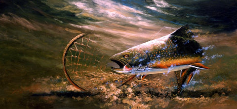 Nothing But Net - Brook Trout White Modern Wood Framed Art Print with Double Matting by Langton, Bruce