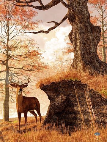 Autumn Buck White Modern Wood Framed Art Print with Double Matting by Eskridge, Daniel