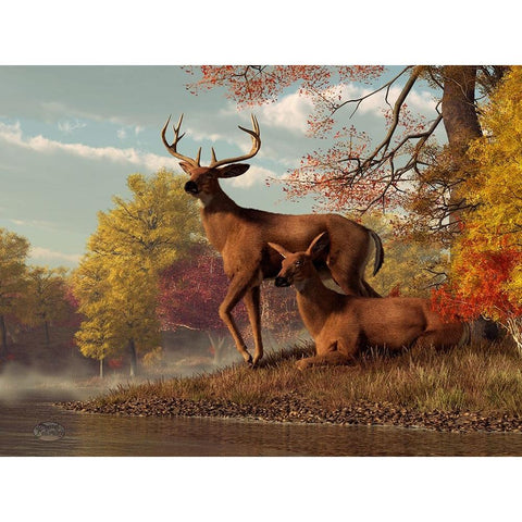 Deer On An Autumn Lakeshore Black Modern Wood Framed Art Print with Double Matting by Eskridge, Daniel