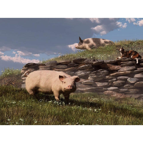 Free Range Pigs White Modern Wood Framed Art Print by Eskridge, Daniel