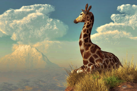 Giraffe And Distant Mountain White Modern Wood Framed Art Print with Double Matting by Eskridge, Daniel