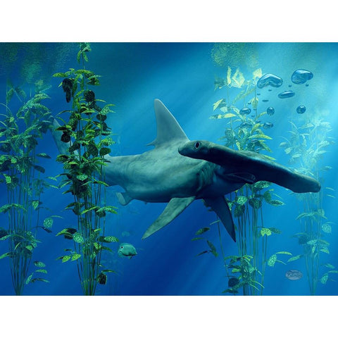 Hammerhead White Modern Wood Framed Art Print by Eskridge, Daniel