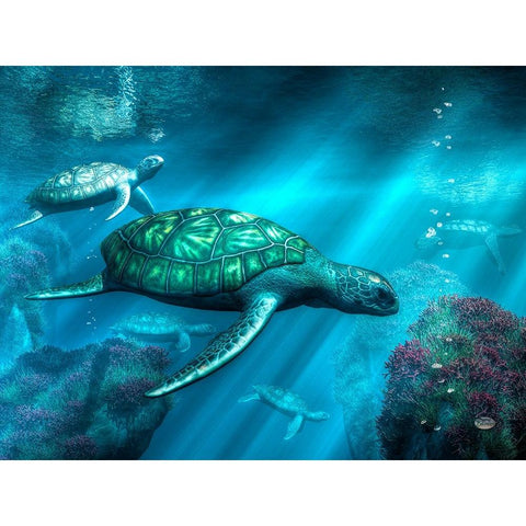 Sea Turtles Black Modern Wood Framed Art Print with Double Matting by Eskridge, Daniel