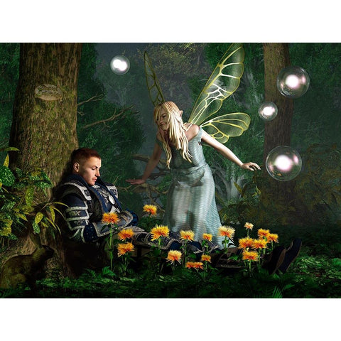 The Knight And The Faerie Black Modern Wood Framed Art Print with Double Matting by Eskridge, Daniel