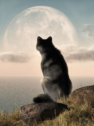 Wolf Watching The Moonrise Black Ornate Wood Framed Art Print with Double Matting by Eskridge, Daniel