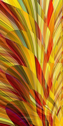 Flower Petals White Modern Wood Framed Art Print with Double Matting by Manlove, David