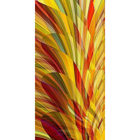 Flower Petals White Modern Wood Framed Art Print by Manlove, David