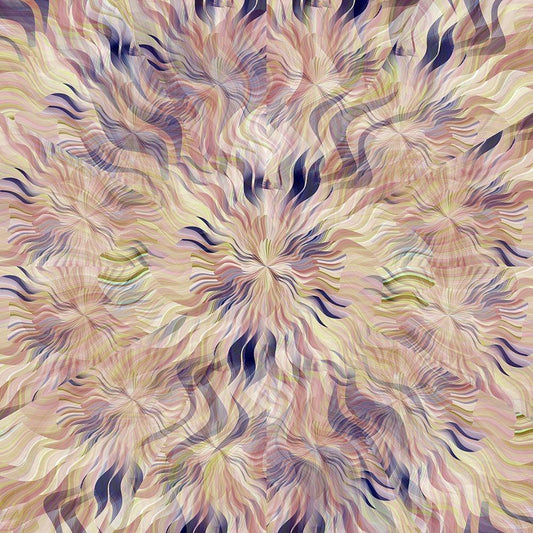 Image Only