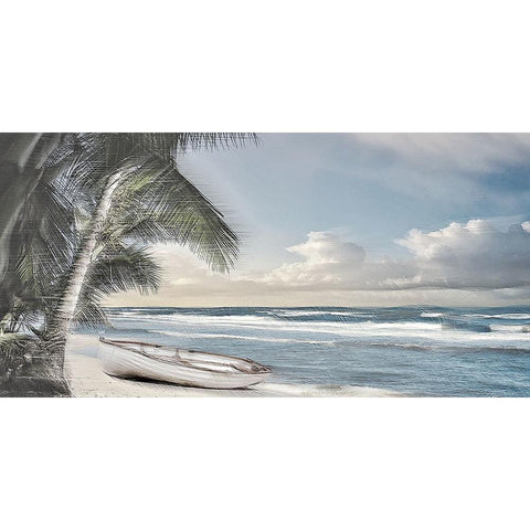 Palm Trees and a Boat B Black Modern Wood Framed Art Print with Double Matting by Manlove, David