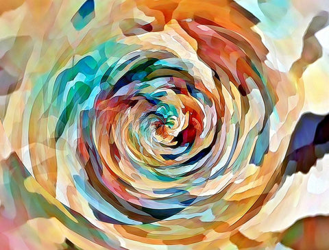 Rusty Rose White Modern Wood Framed Art Print with Double Matting by Manlove, David