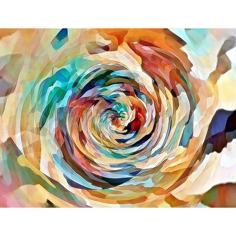 Rusty Rose Black Modern Wood Framed Art Print with Double Matting by Manlove, David