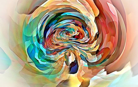 The Rose Tunnel White Modern Wood Framed Art Print with Double Matting by Manlove, David