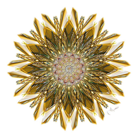 Gold Glass Star Gold Ornate Wood Framed Art Print with Double Matting by Manlove, David