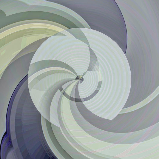 Image Only