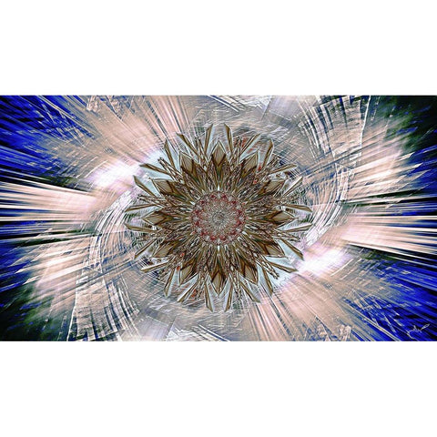 Ice Star cbs Gold Ornate Wood Framed Art Print with Double Matting by Manlove, David