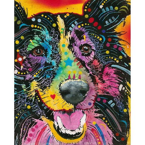 Smiling Collie  White Modern Wood Framed Art Print by Dean Russo Collection