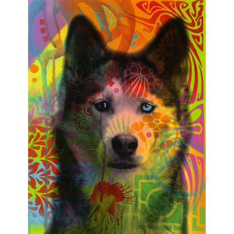 Huskys Eye Black Modern Wood Framed Art Print with Double Matting by Dean Russo Collection