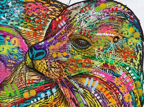 Seal White Modern Wood Framed Art Print with Double Matting by Dean Russo Collection